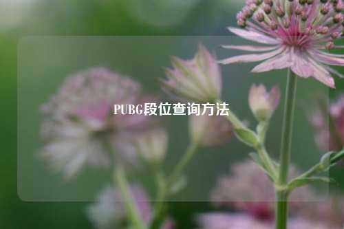 PUBG段位查询方法