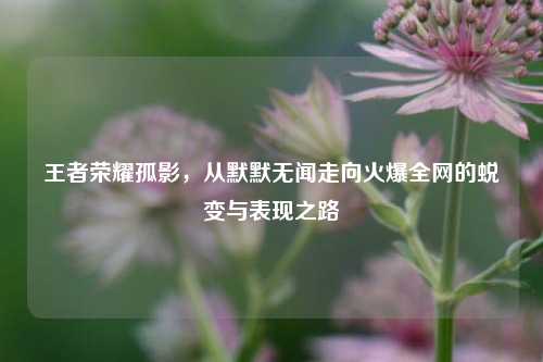 王者荣耀孤影，从默默无闻走向火爆全网的蜕变与表现之路