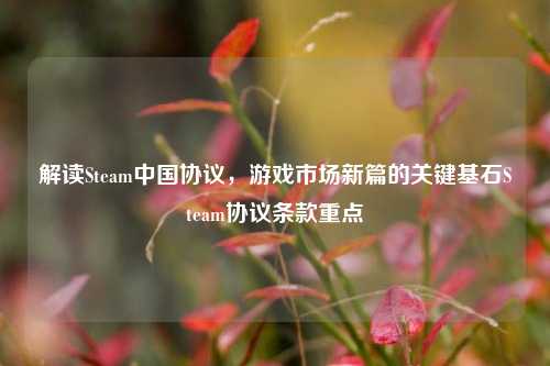 解读Steam中国协议，游戏市场新篇的关键基石Steam协议条款重点