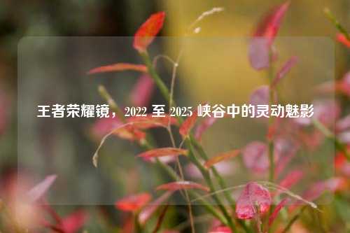 王者荣耀镜,2022 至 2025 峡谷中的灵动魅影