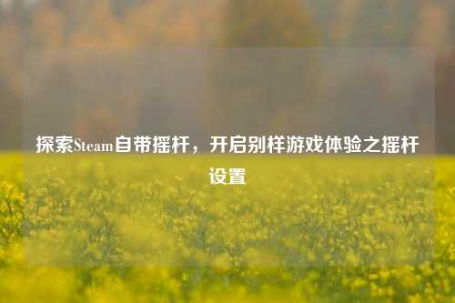 探索Steam自带摇杆，开启别样游戏体验之摇杆设置