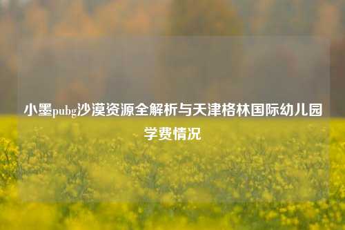 小墨pubg沙漠资源全解析与天津格林国际幼儿园学费情况