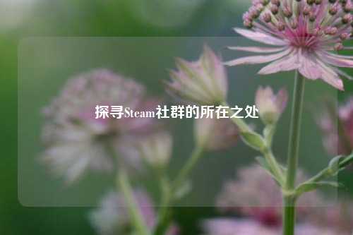 探寻Steam社群的所在之处