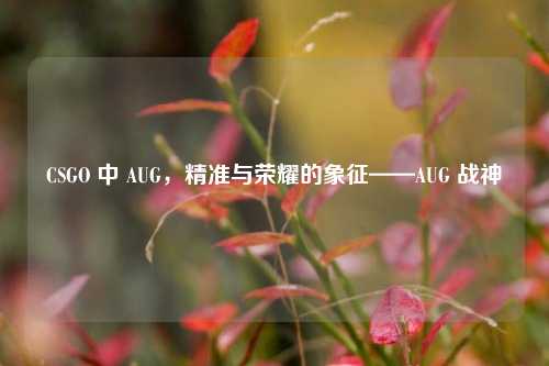 CSGO 中 AUG，精准与荣耀的象征——AUG 战神