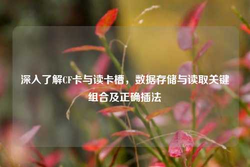 深入了解CF卡与读卡槽,数据存储与读取关键组合及正确插法