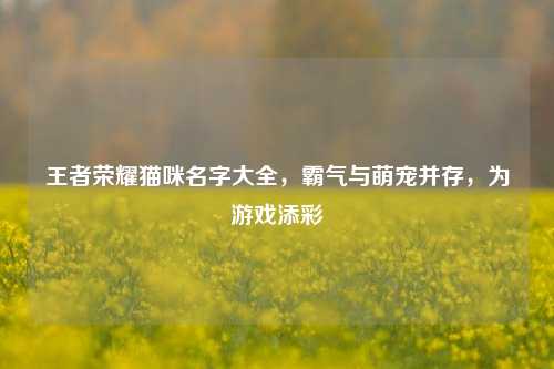 王者荣耀猫咪名字大全，霸气与萌宠并存，为游戏添彩
