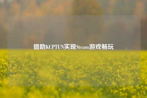 借助KCPTUN实现Steam游戏畅玩
