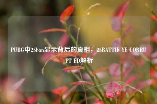 PUBG中25ban显示背后的真相,25BATTIE YE CORRU PT ED解析