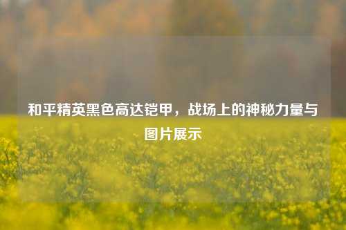 和平精英黑色高达铠甲，战场上的神秘力量与图片展示