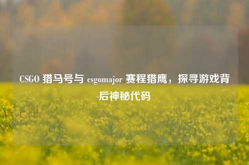 CSGO 猎马号与 csgomajor 赛程猎鹰,探寻游戏背后神秘代码