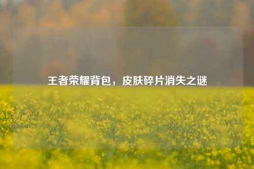 王者荣耀背包,皮肤碎片消失之谜