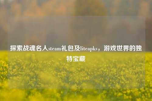 探索战魂名人steam礼包及liteapks,游戏世界的独特宝藏
