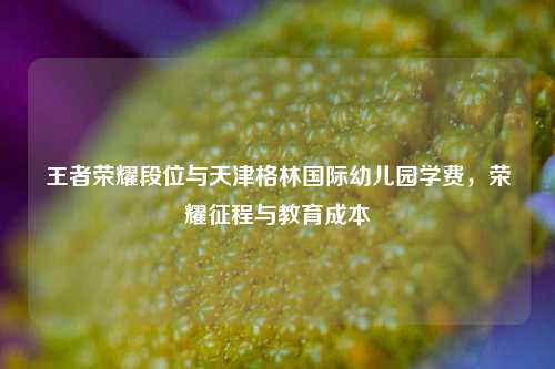 王者荣耀段位与天津格林国际幼儿园学费，荣耀征程与教育成本
