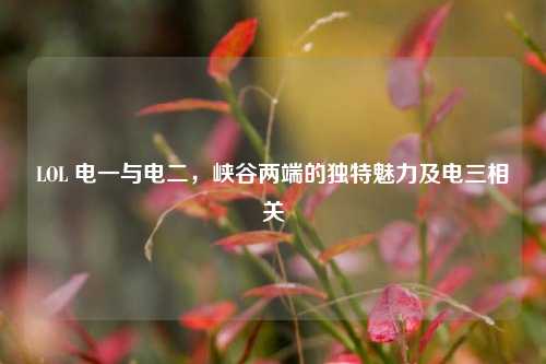 LOL 电一与电二，峡谷两端的独特魅力及电三相关