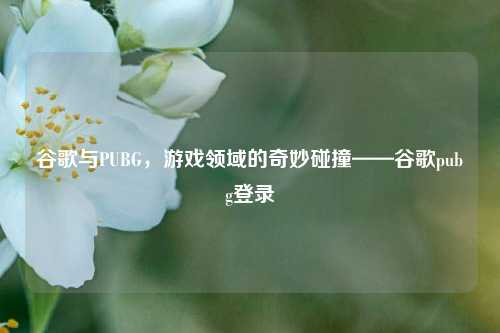 谷歌与PUBG，游戏领域的奇妙碰撞——谷歌pubg登录