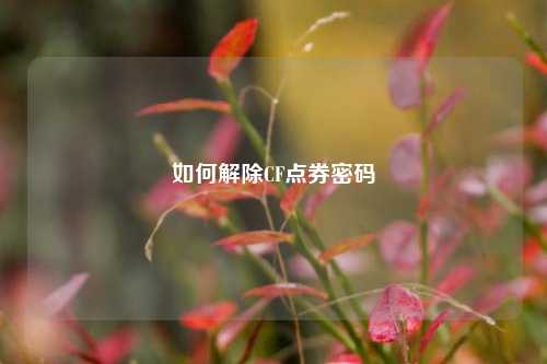 如何解除CF点券密码