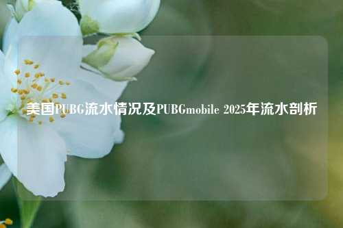 美国PUBG流水情况及PUBGmobile 2025年流水剖析