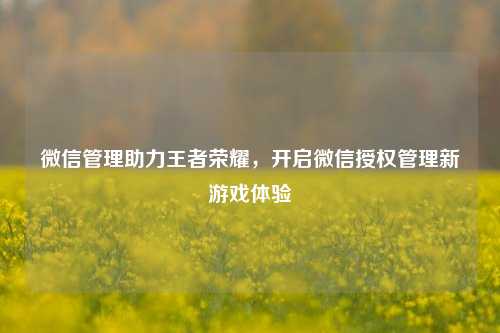 微信管理助力王者荣耀，开启微信授权管理新游戏体验