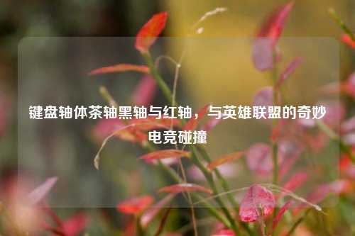 键盘轴体茶轴黑轴与红轴，与英雄联盟的奇妙电竞碰撞