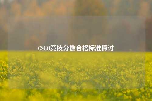 CSGO竞技分数合格标准探讨