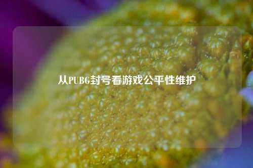 从PUBG封号看游戏公平性维护