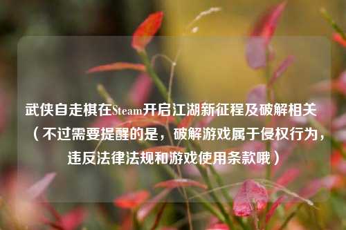 武侠自走棋在Steam开启江湖新征程及破解相关 （不过需要提醒的是，破解游戏属于侵权行为，违反法律法规和游戏使用条款哦）