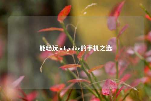 能畅玩pubgmlite的手机之选