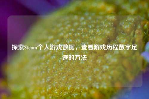探索Steam个人游戏数据，查看游戏历程数字足迹的方法