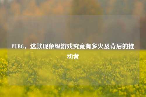 PUBG，这款现象级游戏究竟有多火及背后的推动者