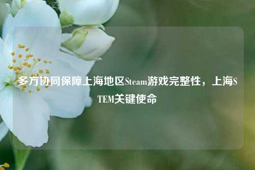 多方协同保障上海地区Steam游戏完整性，上海STEM关键使命