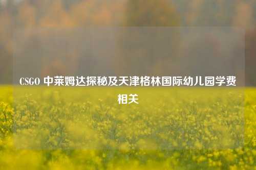 CSGO 中莱姆达探秘及天津格林国际幼儿园学费相关