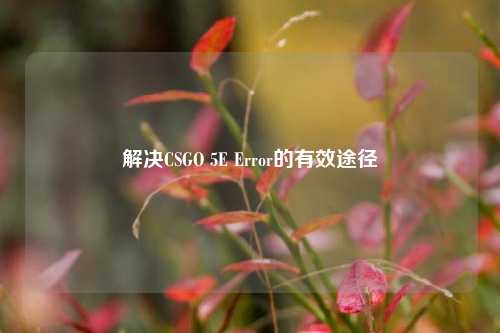 解决CSGO 5E Error的有效途径