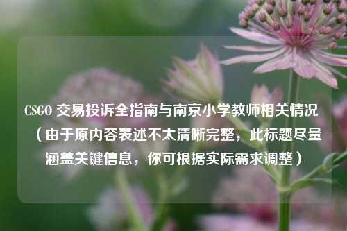 CSGO 交易投诉全指南与南京小学教师相关情况 （由于原内容表述不太清晰完整，此标题尽量涵盖关键信息，你可根据实际需求调整）