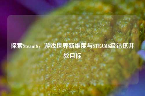 探索Steam6,游戏世界新维度与STEAM6级钻挖井教目标