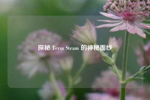 探秘 Tersa Steam 的神秘面纱