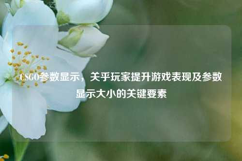 CSGO参数显示,关乎玩家提升游戏表现及参数显示大小的关键要素