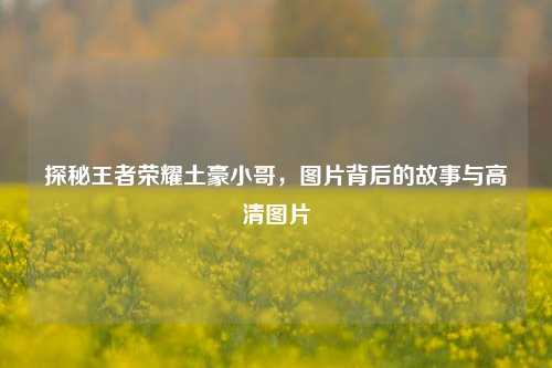 探秘王者荣耀土豪小哥，图片背后的故事与高清图片