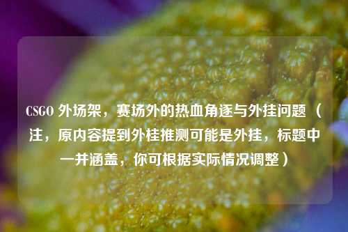 CSGO 外场架，赛场外的热血角逐与外挂问题 （注，原内容提到外桂推测可能是外挂，标题中一并涵盖，你可根据实际情况调整）