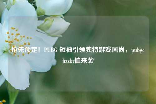 抢先预定!PUBG 短袖引领独特游戏风尚,pubgchzzkt恤来袭
