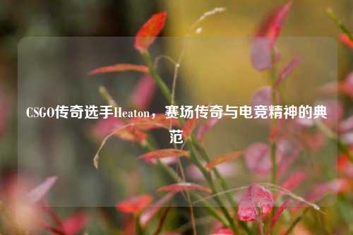CSGO传奇选手Heaton，赛场传奇与电竞精神的典范
