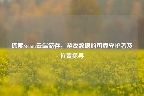 探索Steam云端储存，游戏数据的可靠守护者及位置探寻