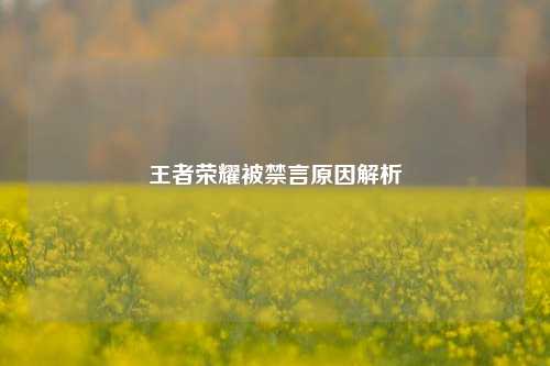 王者荣耀被禁言原因解析