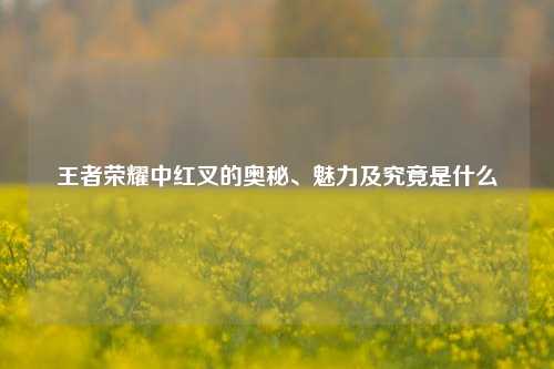 王者荣耀中红叉的奥秘、魅力及究竟是什么