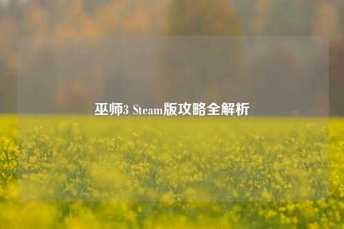 巫师3 Steam版攻略全解析