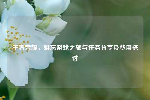王者荣耀，难忘游戏之旅与任务分享及费用探讨