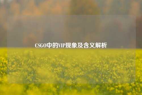 CSGO中的VIP现象及含义解析