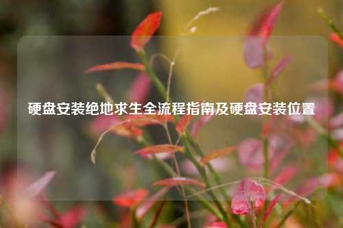 硬盘安装绝地求生全流程指南及硬盘安装位置