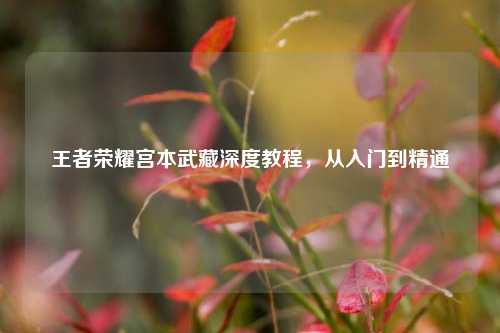 王者荣耀宫本武藏深度教程,从入门到精通