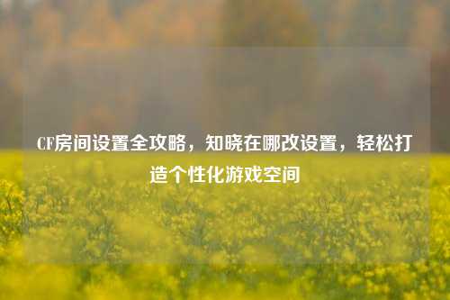 CF房间设置全攻略，知晓在哪改设置，轻松打造个性化游戏空间
