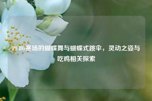 PUBG赛场的蝴蝶舞与蝴蝶式跳伞，灵动之姿与吃鸡相关探索